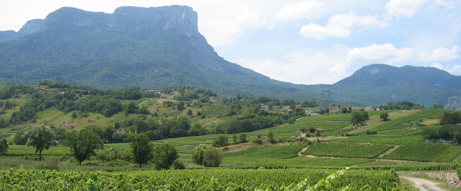 Les vignes et les hameaux au pied du mont Granier